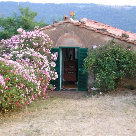 Agriturismo Le Serre Riparbella Ruang foto