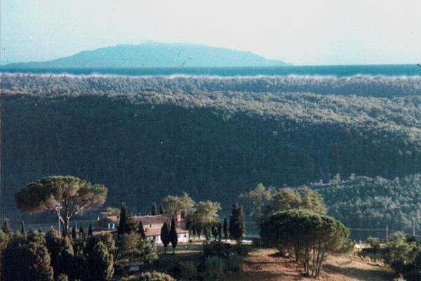 Agriturismo Le Serre Riparbella Bagian luar foto